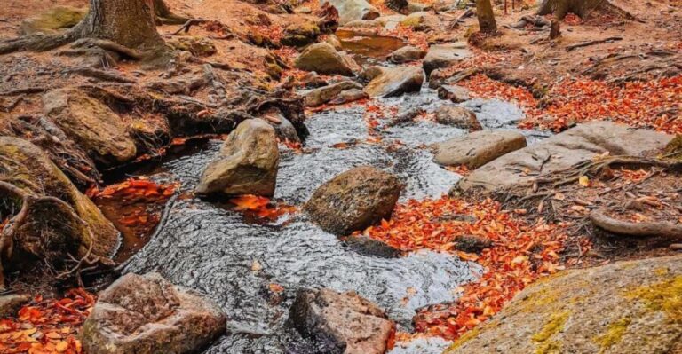 Hike in Polish Mountains: Day trip to Rudawy Janowickie - The Sum Up