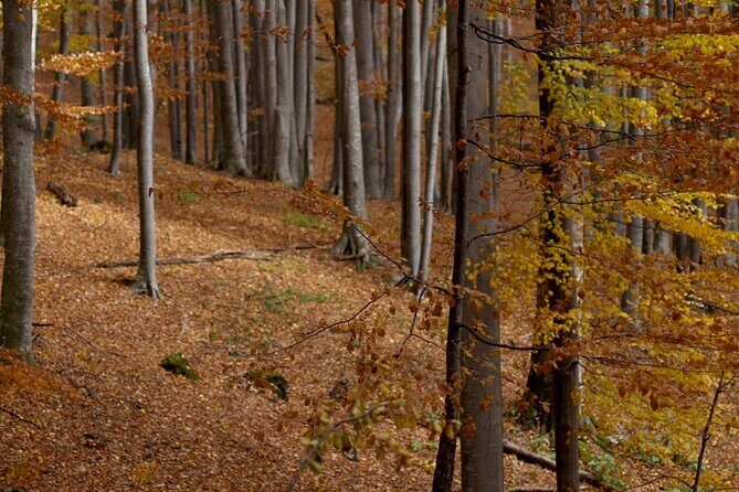 Hike in The Central Balkan National Park - Transportation and Meeting Points