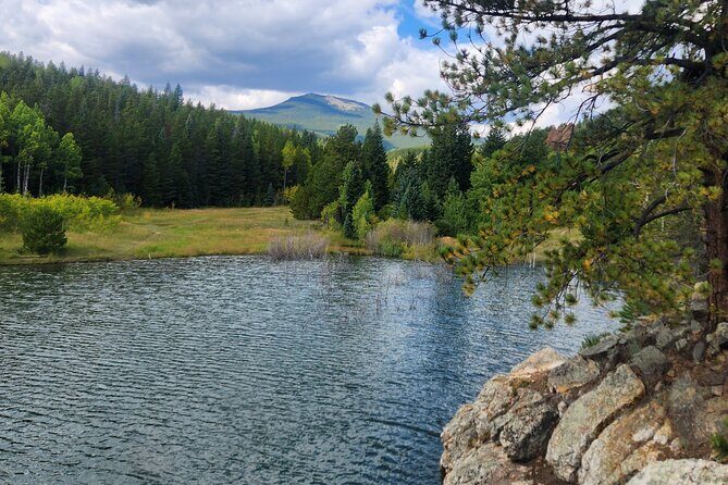 Hike the Rockies Half Day Tour - Real Traveler Insights: What Past Participants Say