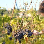 Hike & Wine Tour - Final Thoughts