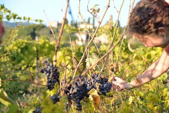 Hike & Wine Tour - Final Thoughts