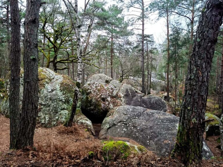 Hiking Adventure in the Fontainebleau Forest - The Itinerary: What You Can Expect