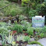 Hiking and Adventure from Napanee to Bon Echo Provincial Park - What’s Included and How It Adds to Your Experience