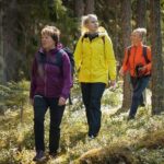 Hiking around forest and lake - An Honest Look at the Cost and Value