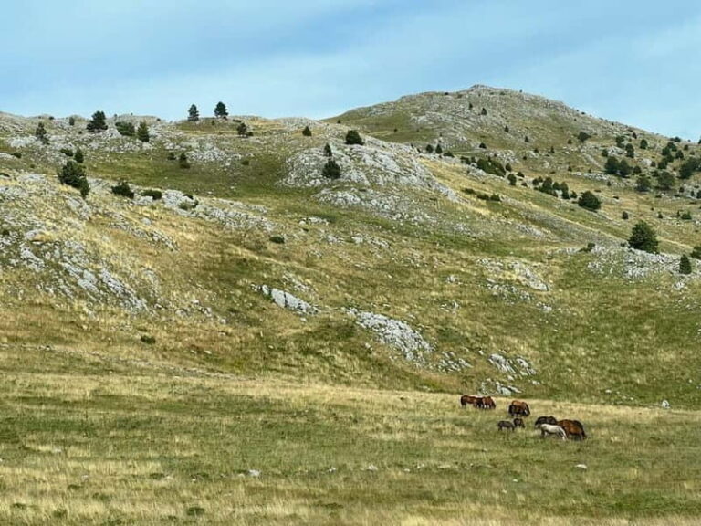 Hiking around Sarajevo: Lukomir Village Full Day Hiking Tour - What Makes This Tour Stand Out?