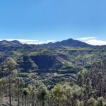 Hiking experience in the north of Gran Canaria - Final Thoughts