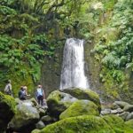 Hiking Faial da Terra + Van Tour Nordeste - Final Thoughts: Is This Tour Right for You?