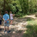 Hiking in Polilimnio Waterfalls - What Makes This Tour Stand Out