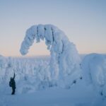 Hiking in Riisitunturi National Park with Photographer - The Value of the Experience