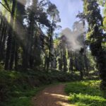 Hiking in Sintra - Breaking Down the Experience