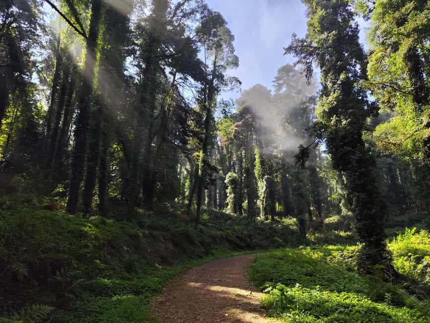 Hiking in Sintra - Breaking Down the Experience
