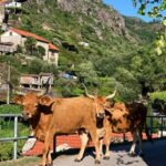 Hiking in the "Mini Tibet" of Portugal - Who Should Consider This Tour?