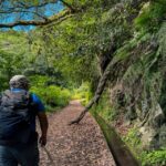 Hiking Madeira: Levada do Rei and the Majestic Laurissilva - Practical Details and What to Pack