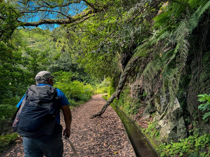 Hiking Madeira: Levada do Rei and the Majestic Laurissilva - Practical Details and What to Pack