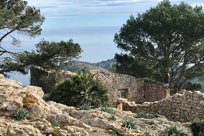 Hiking on Alcudia Peninsula - What’s Included and What to Expect