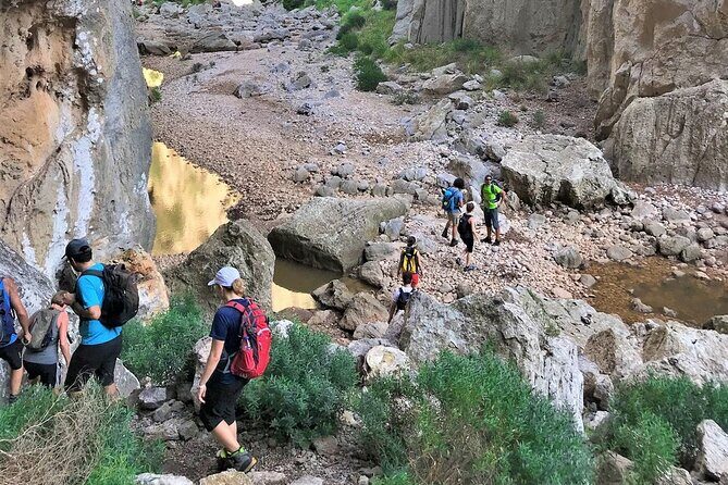 Hiking Private Tour in Pollensa - Who Is This Tour Right For?