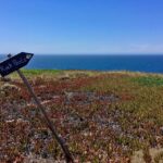 Hiking Tour Along the West Coastline - What the Reviews Say