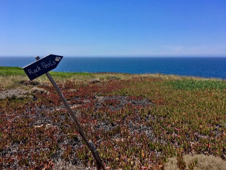 Hiking Tour Along the West Coastline - What the Reviews Say