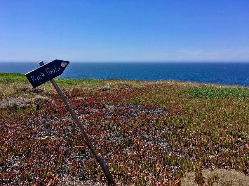 Hiking Tour Along the West Coastline - What the Reviews Say