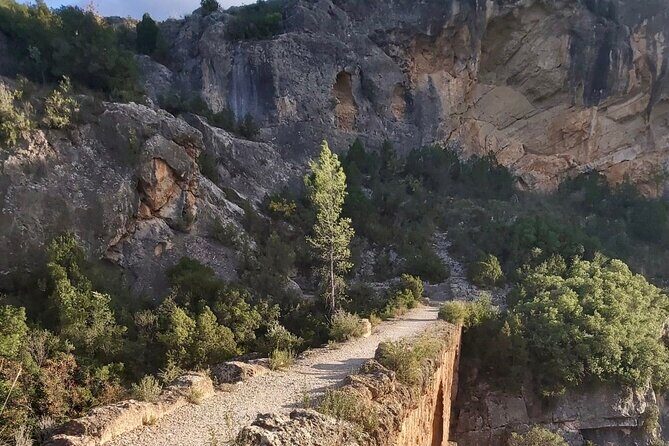 Hiking Tour of the Roman Aqueduct of Peña Cortada and Ruta de Agua - Who Is This Tour Best Suited For?