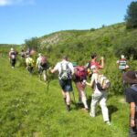 Hiking tour to Sandaktas Peak, Mavrovo National Park - The Details: What to Expect from This Hike