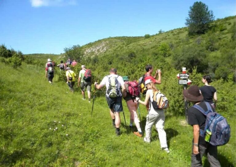 Hiking tour to Sandaktas Peak, Mavrovo National Park - The Details: What to Expect from This Hike