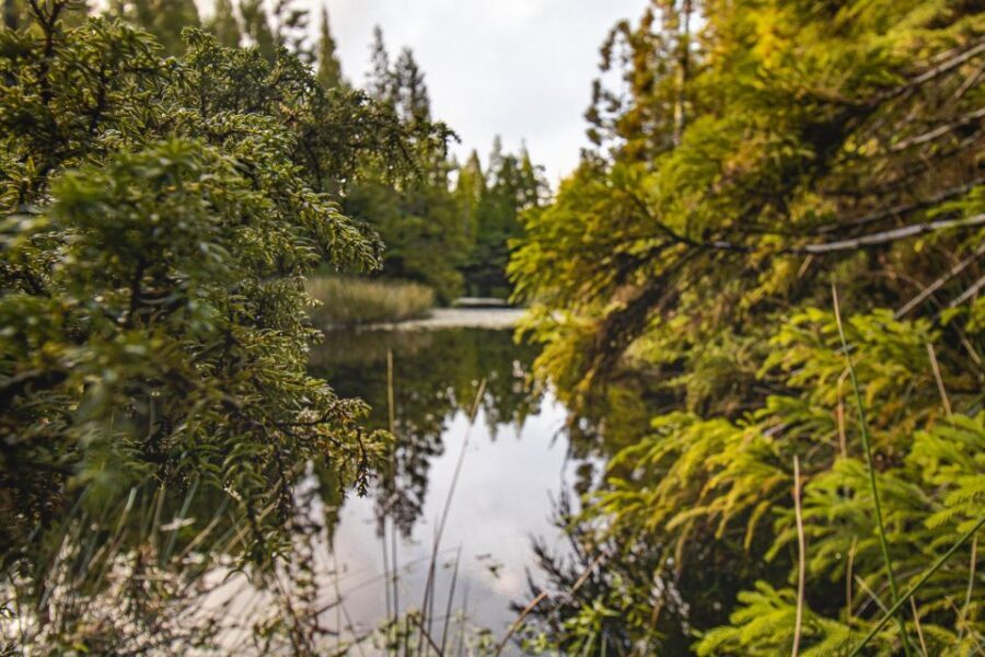 Hiking Trails - Detailed Breakdown of the Itinerary