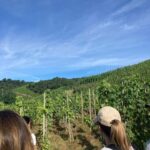 Hiking & Wine between Côte-Rôtie and Condrieu - FAQ