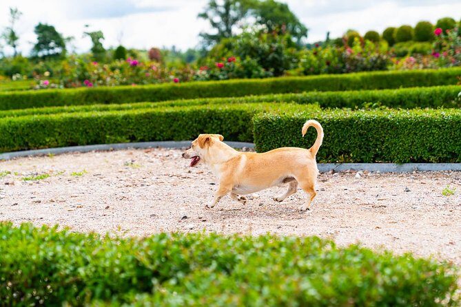 Hill of Crosses & Rundale Palace Tour - Pricing and Value