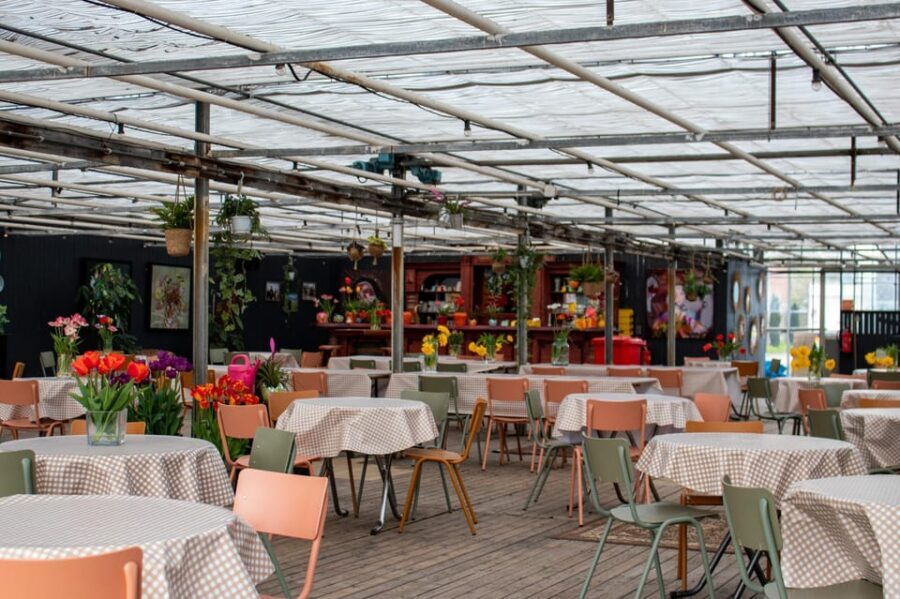 Hillegom: Tulip Barn Entry Ticket - Who Will Love This Experience?