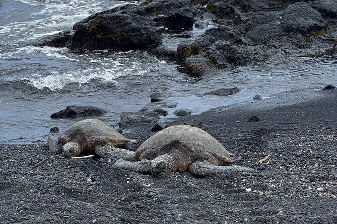 Hilo Excursion Volcanoes Akaka Falls And Black Sand Beach - Starting Point and Timing