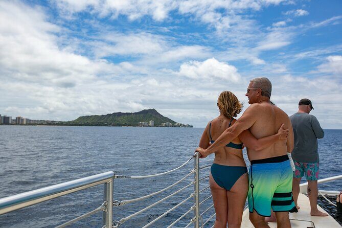 Hilton Hawaiian Village Turtle Snorkel with Optional Lunch - Analyzing the Value for Your Money