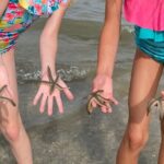 Hilton Head Dolphin Tour with Stop at Disappearing Island - Final Thoughts