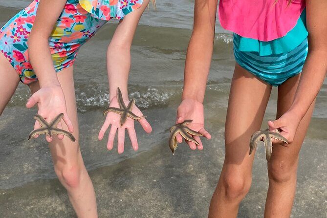 Hilton Head Dolphin Tour with Stop at Disappearing Island - Final Thoughts