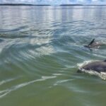 Hilton Head Guided Sunset Creek Cat Tour - The Itinerary: What Makes Each Stop Special