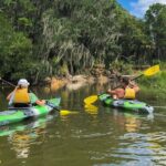 Hilton Head Outback Boat and Kayak Adventure - Final Thoughts: Who Will Love This Tour?