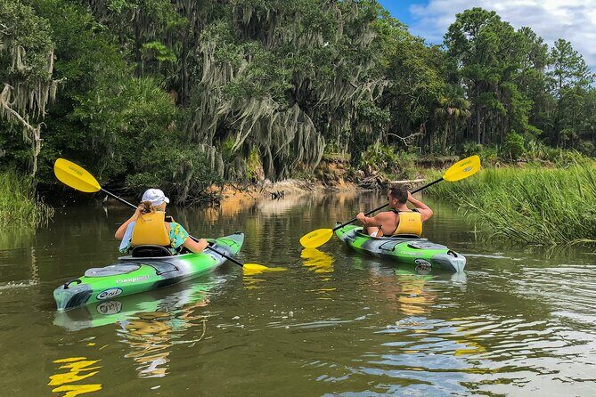 Hilton Head Outback Boat and Kayak Adventure - Final Thoughts: Who Will Love This Tour?