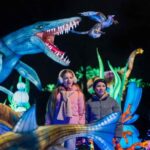 Hilvarenbeek: Light Safari at Beekse Bergen - The Itinerary and Flow