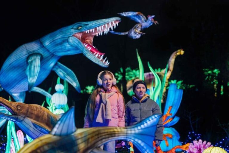 Hilvarenbeek: Light Safari at Beekse Bergen - The Itinerary and Flow