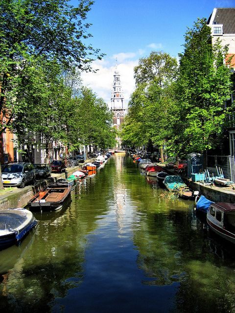 Historic Amsterdam 2-Hour Private Tour with Local Guide - The Price and Its Value
