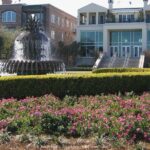 Historic Charleston: 2-hour Private Highlights Walking Tour - Who Should Book This Tour?