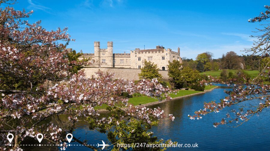 Historic England Tour: London to Leeds Castle and Canterbury - Who Is This Tour Best Suited For?