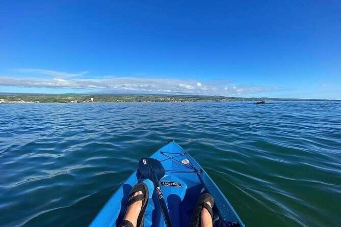 Historic Hilo Bay and Coconut Island Guided Kayak Adventure - Logistics and Practical Tips