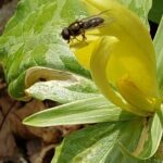 Historic River Town Ramble - Why the Price Offers Good Value