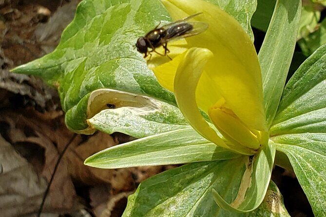 Historic River Town Ramble - Why the Price Offers Good Value