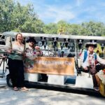 Historic Tour of Tybee Island - Who Is This Tour Best Suited For?