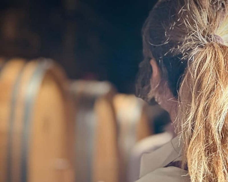 HISTORICAL BODEGA TOUR AND WINE TASTING - The Overall Experience: What Works and What Could Be Better