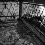 Historical Bruges: Jerusalem Chapel and Univ. of Commerce - Final Thoughts: Who Will Love This Tour?