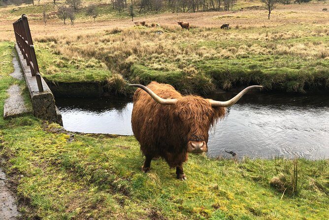 Historical Tour and Seafood Experience - Real Experiences and Honest Pros and Cons