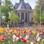 Historical Tour of The Hague - What to Expect During the Tour